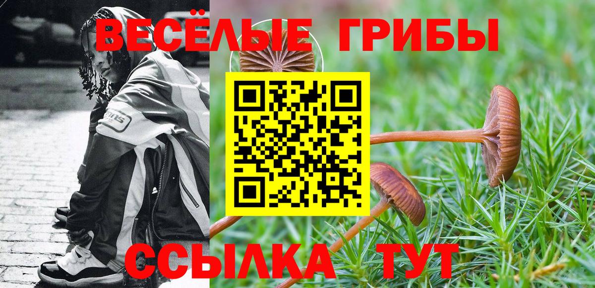 Псилоцибиновые грибы Magic Shrooms  Вход с VPN  Новоалтайск 